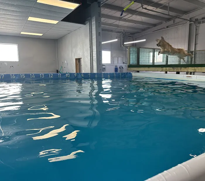 Doggieland Play Park Aquatics 4