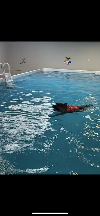 Doggieland Play Park Aquatics 10