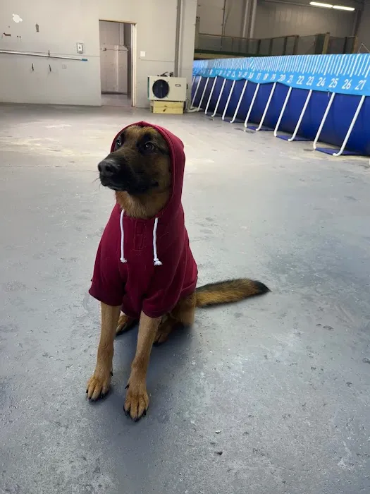 Doggieland Play Park Aquatics 5