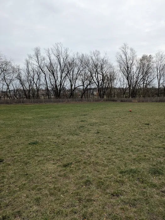 North Star Dog Park 2