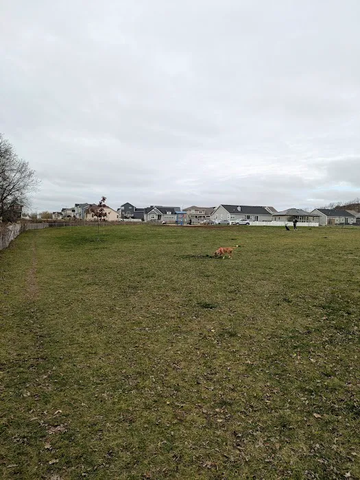 North Star Dog Park 6
