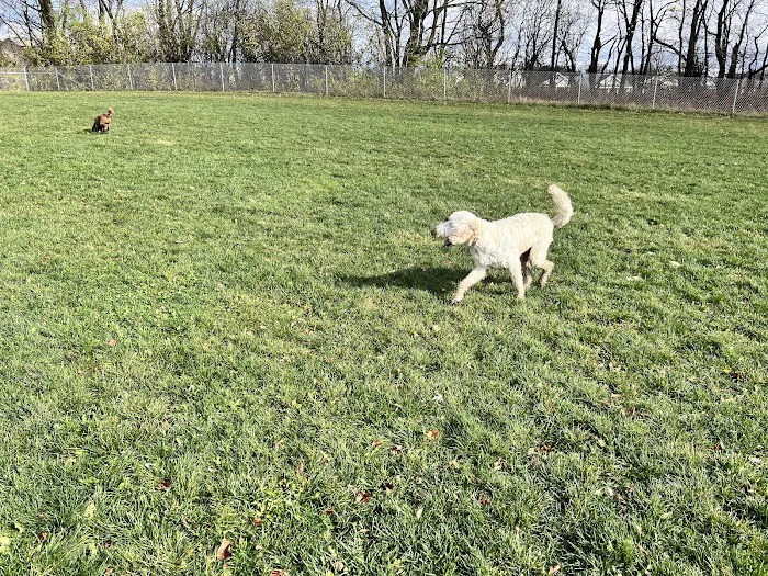 North Star Dog Park 4