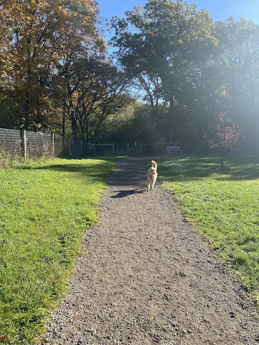 Sunnyside Dog Park 4