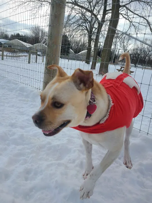 Sunnyside Dog Park 2