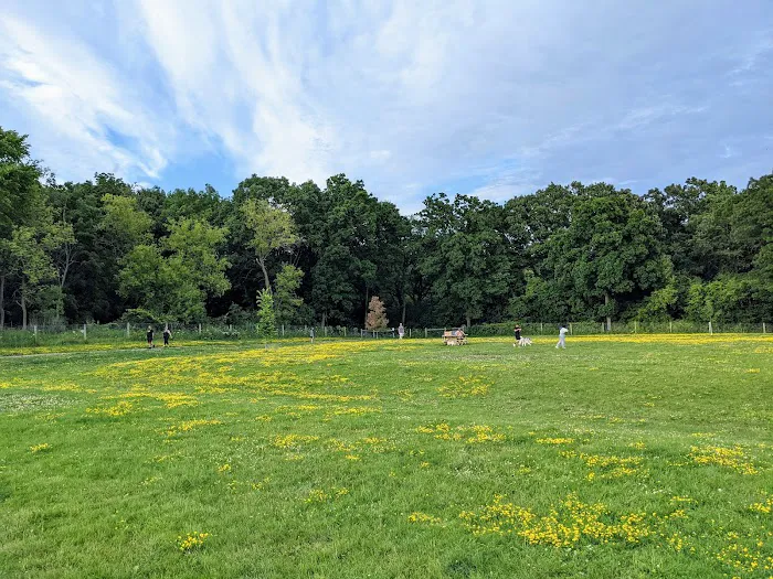Sunnyside Dog Park 5