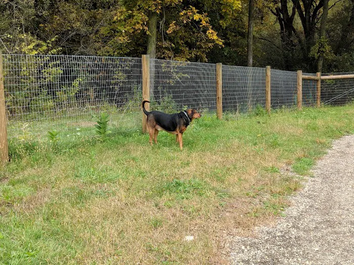 Sunnyside Dog Park 10