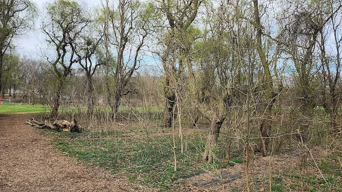 Sunnyside Dog Park 9