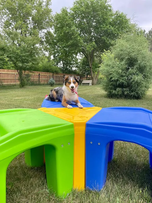 Good Dog Unleashed Private Park 10
