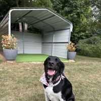 Good Dog Unleashed Private Park ico