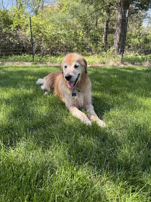 Good Dog Unleashed Private Park 3