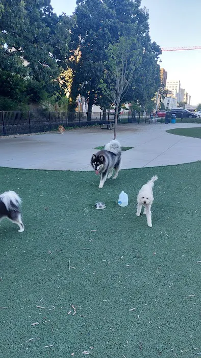 Brittingham Park Dog Park 10
