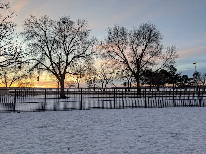 Brittingham Park Dog Park 1