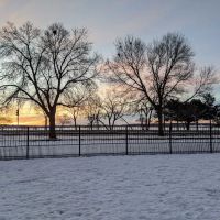 Brittingham Park Dog Park ico