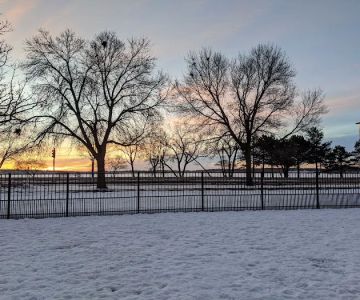 Brittingham Park Dog Park