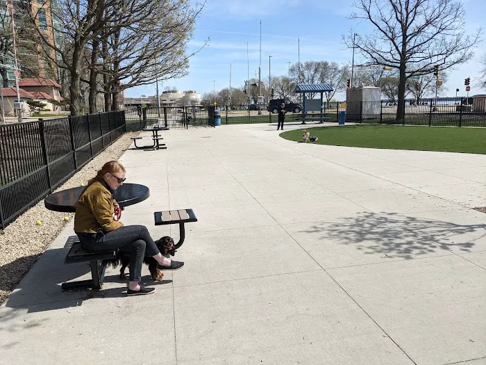 Brittingham Park Dog Park 9
