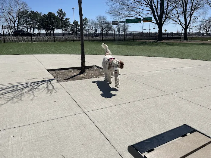 Brittingham Park Dog Park 7
