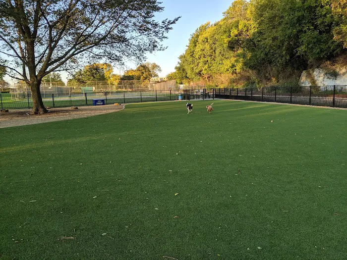 Brittingham Park Dog Park 4