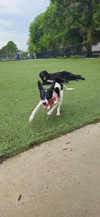 Brittingham Park Dog Park 5