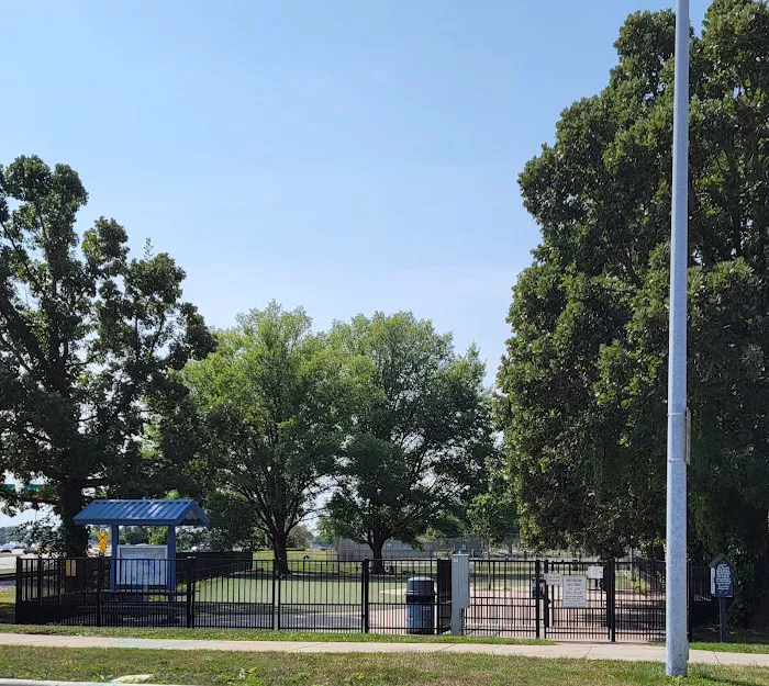 Brittingham Park Dog Park 3