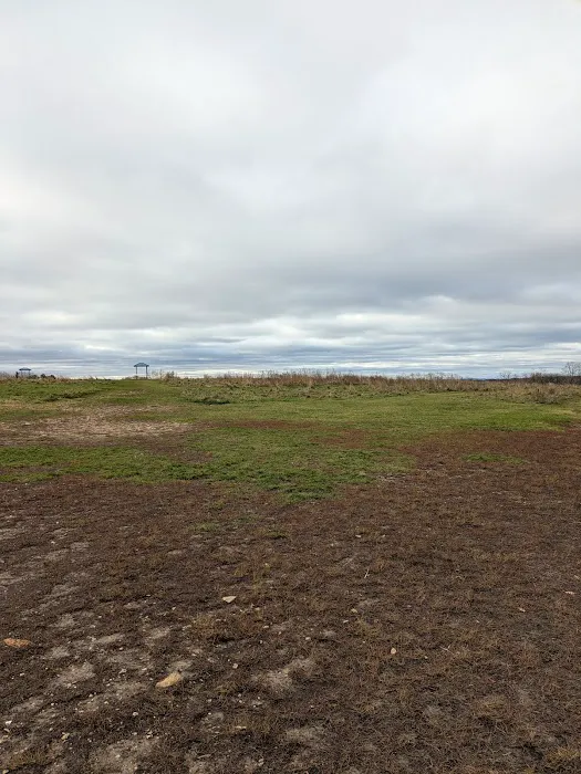 Sycamore Park Dog Park 2