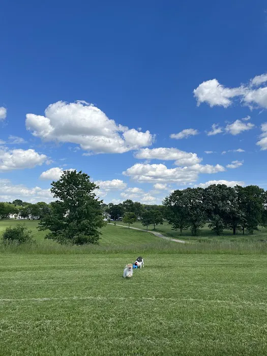 Sycamore Park Dog Park 7