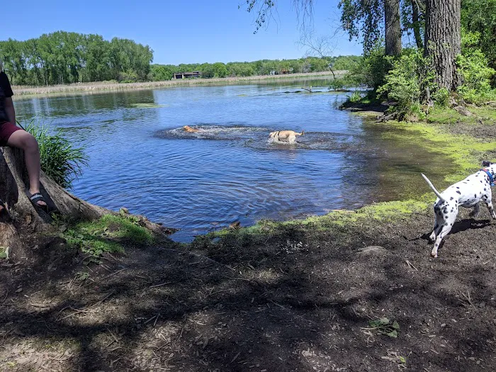 Warner Park Dog Park 5
