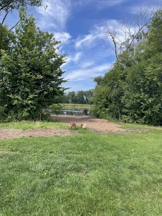 Warner Park Dog Park 8