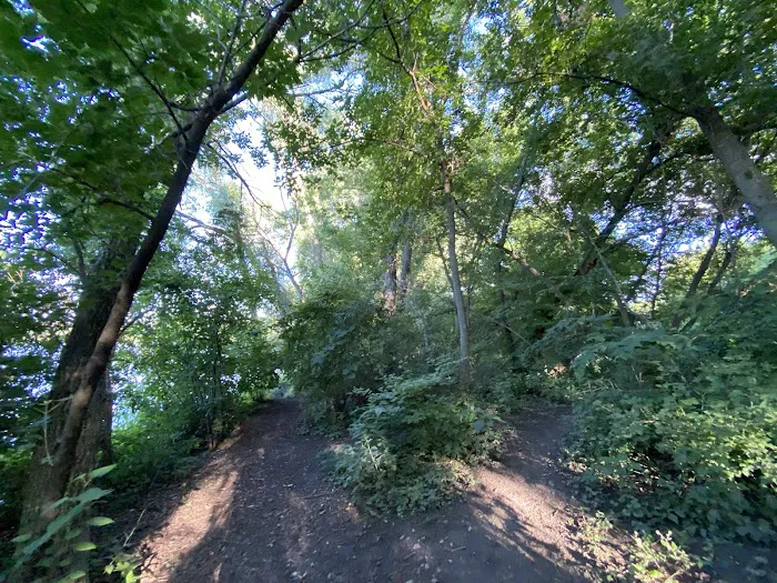 Warner Park Dog Park 6