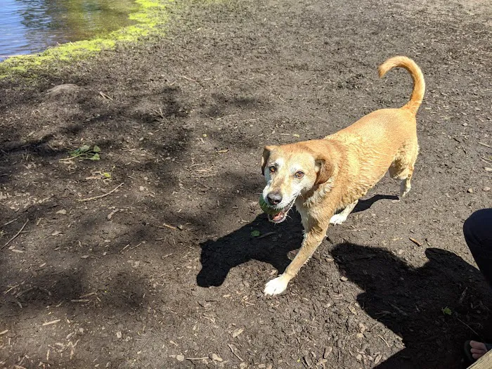 Warner Park Dog Park 2