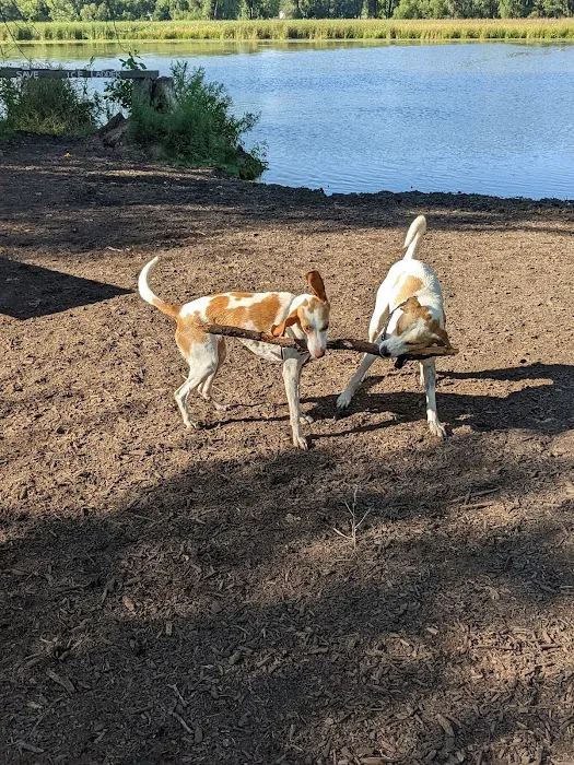 Warner Park Dog Park 10