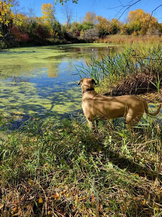 Warner Park Dog Park 3