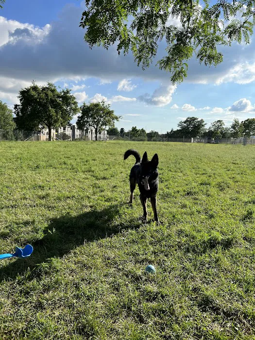 Odana School Park Dog Park 7