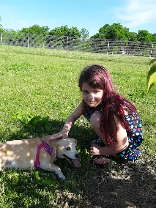 Odana School Park Dog Park 8