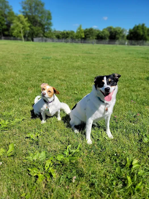 Odana School Park Dog Park 5