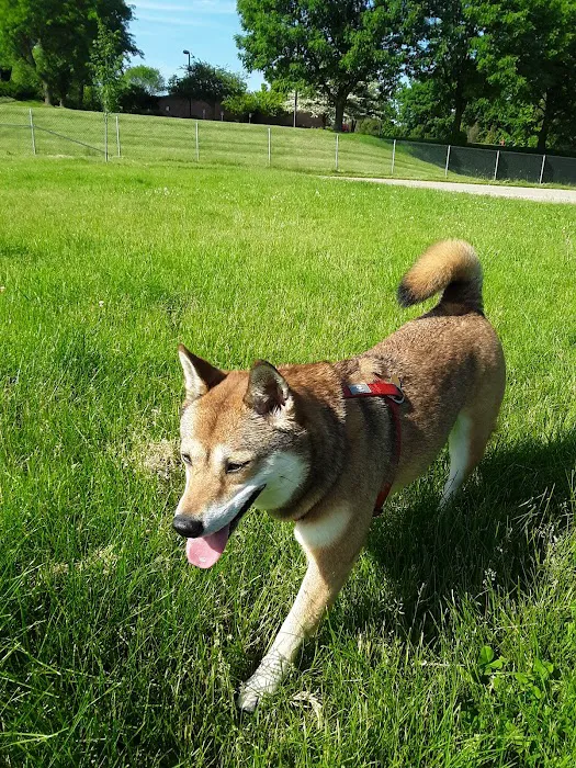 Odana School Park Dog Park 6