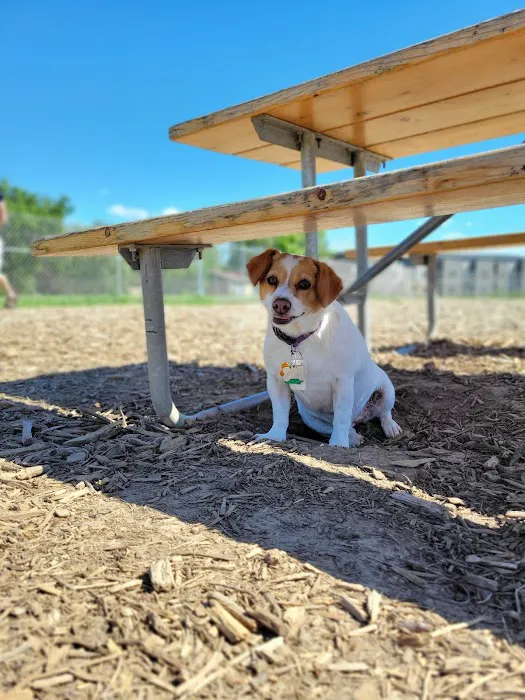 Odana School Park Dog Park 3