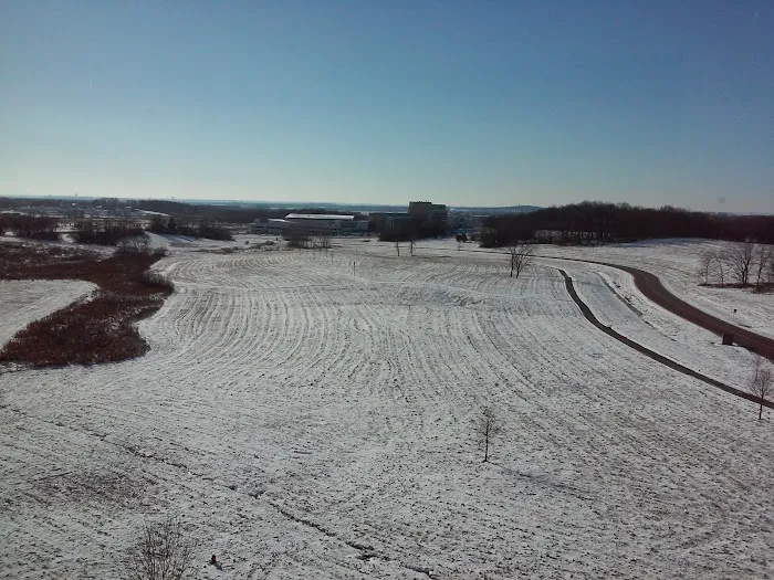 Sun Prairie Dog Park 2