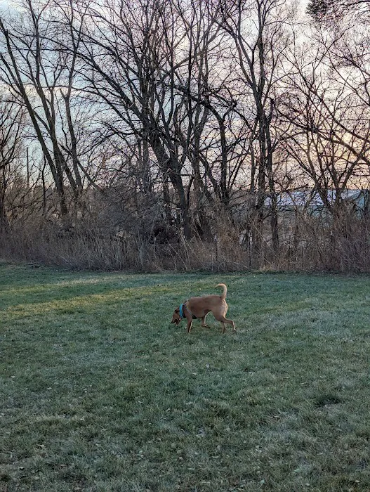 Sun Prairie Dog Park 4