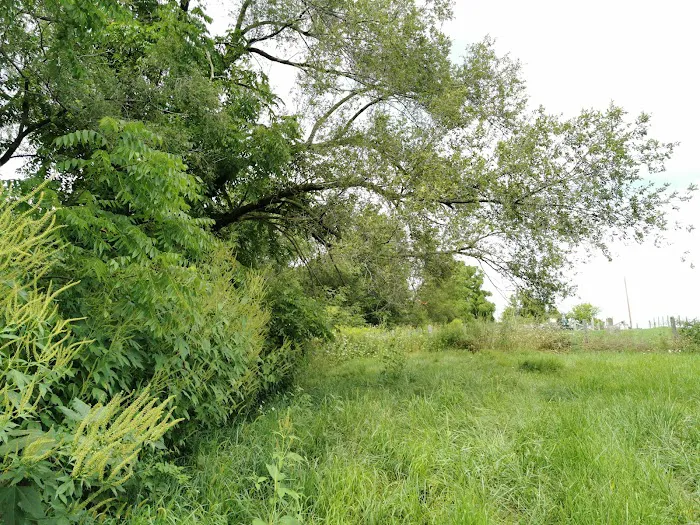 Sun Prairie Pet Exercise Area 2