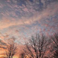 Sun Prairie Pet Exercise Area ico