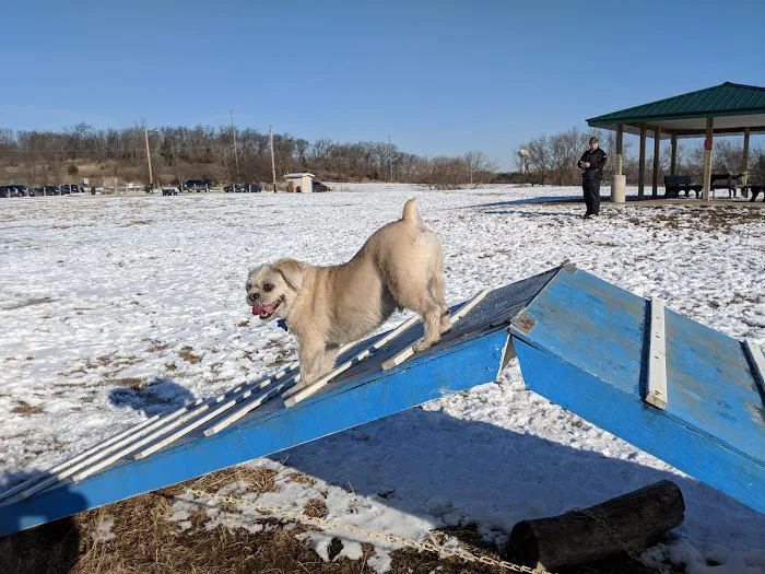 Sun Prairie Pet Exercise Area 4