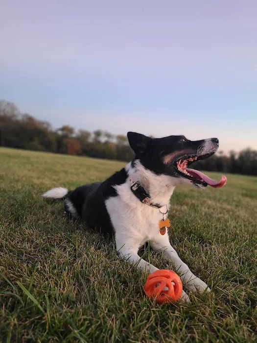 Sun Prairie Pet Exercise Area 8