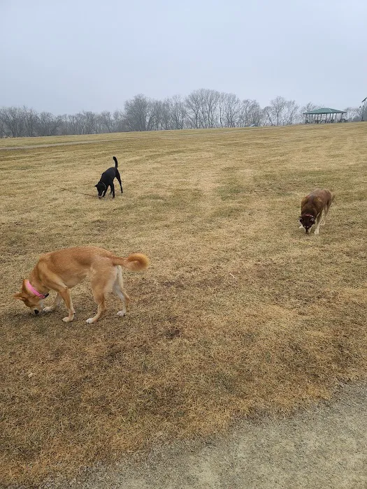 Sun Prairie Pet Exercise Area 9