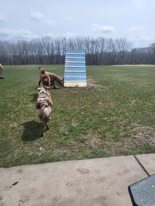 Sun Prairie Pet Exercise Area 6