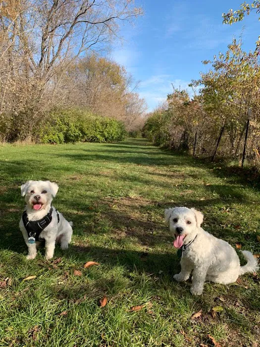 Canine Corners Dog Park - Olson Park 3