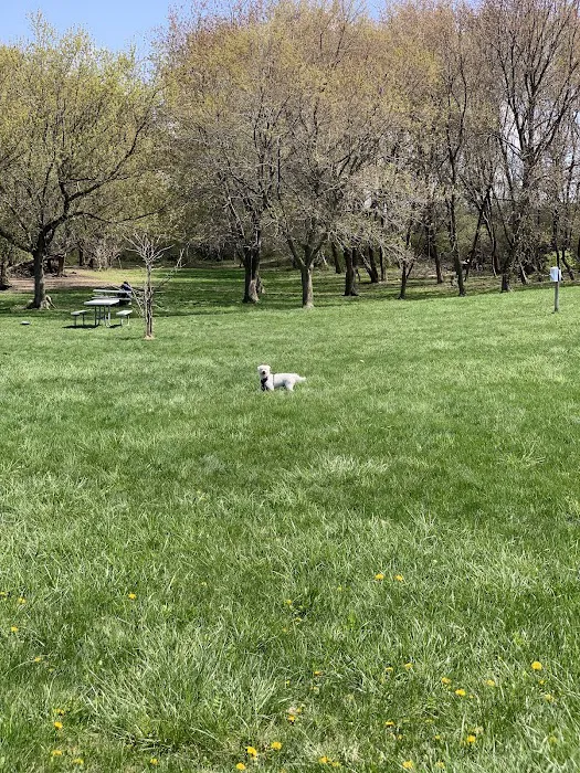 Canine Corners Dog Park - Olson Park 1