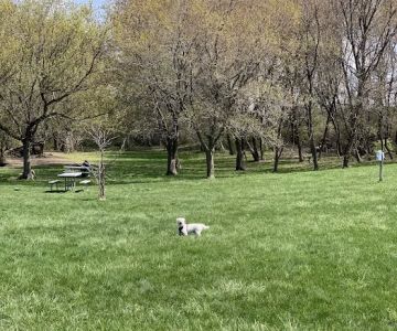 Canine Corners Dog Park - Olson Park
