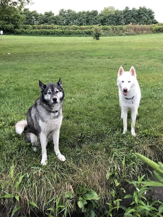 Canine Corners Dog Park - Olson Park 5