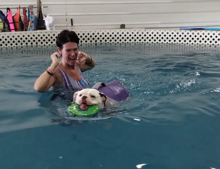 Dog Paddle Beach 8