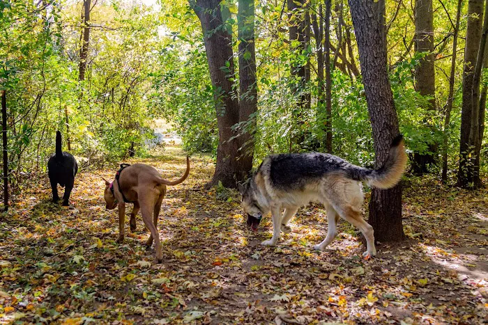 Canine Corners Dog Park - Searls Park 2